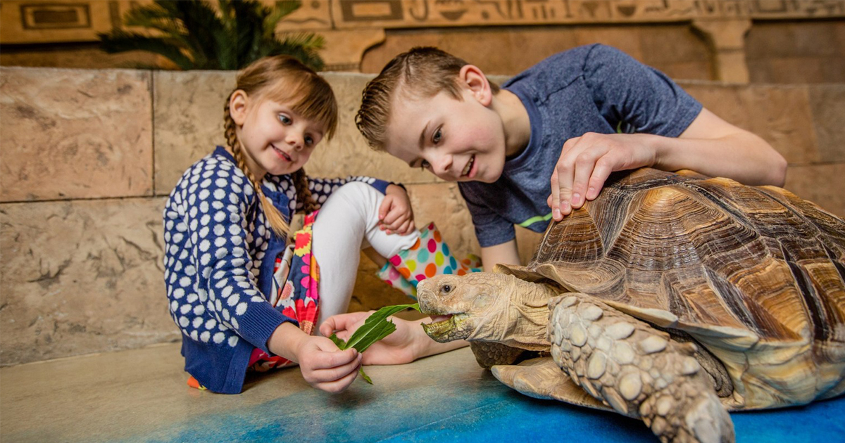 SeaQuest to open sixth unit, at Florida mall ICSC