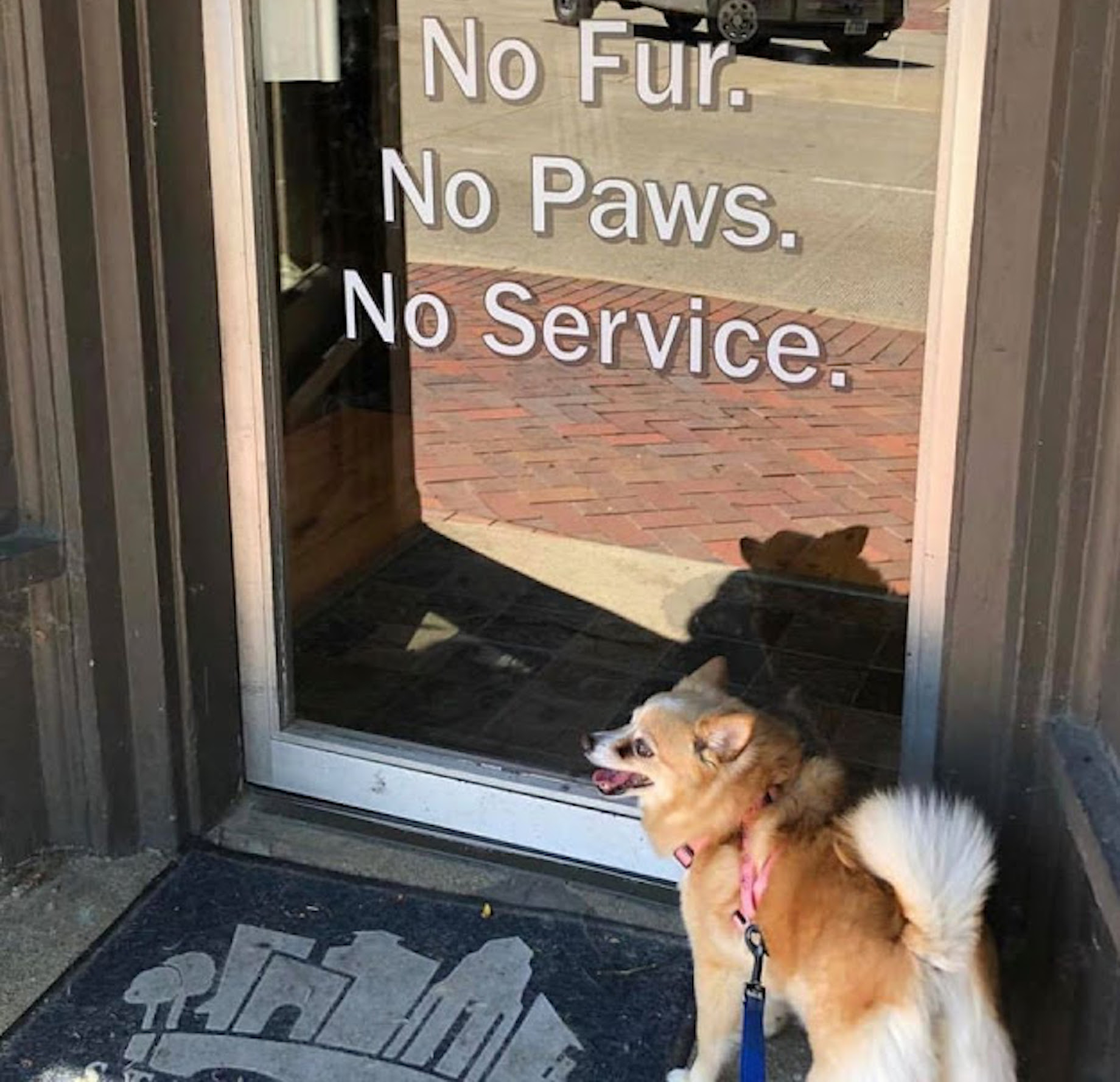 Clean as a Whisker pet spa in St. Charles, Illinois, puts an unexpected twist on the “No Shoes, No Shirt, No Service” sign.