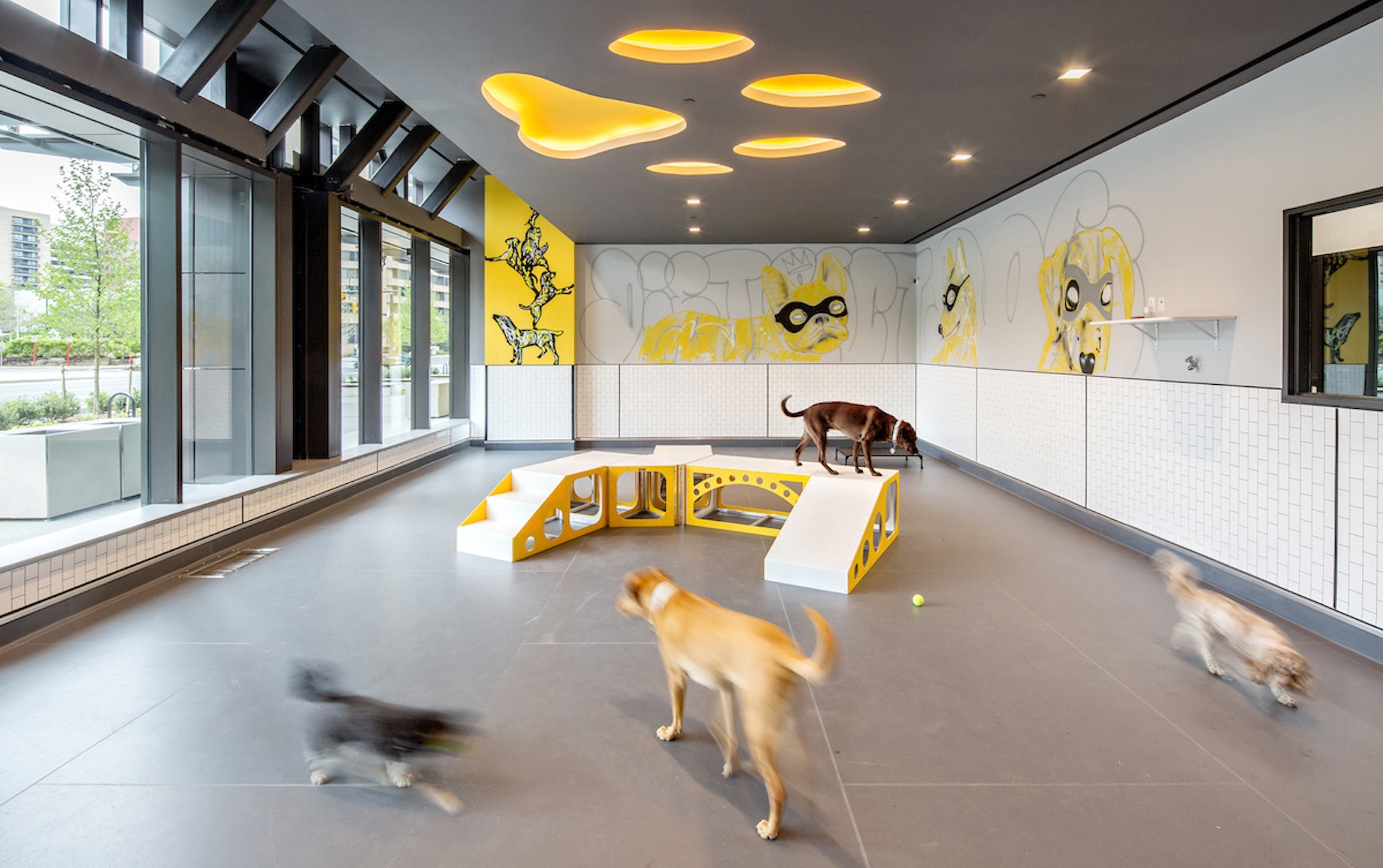District Dogs pet boarding and grooming opened its sixth location in 6,000 square feet on Wilson Boulevard in the National La