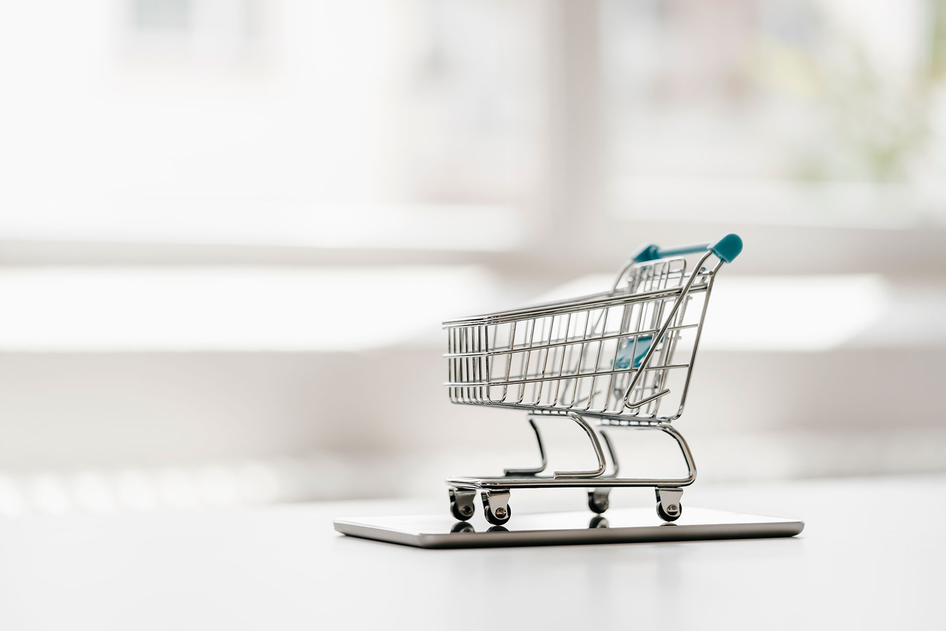 Online grocery sales will never represent a 'significant' share of total e-commerce sales, the report predicts