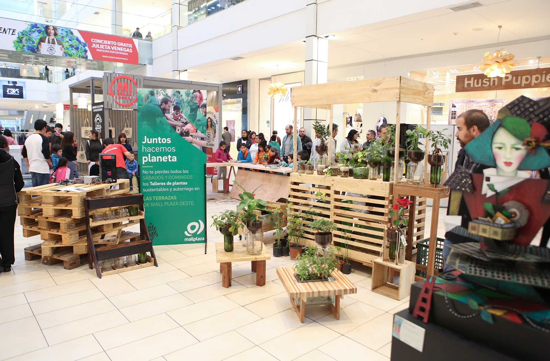 Mallplaza ofrece talleres de paisajismo ambiental