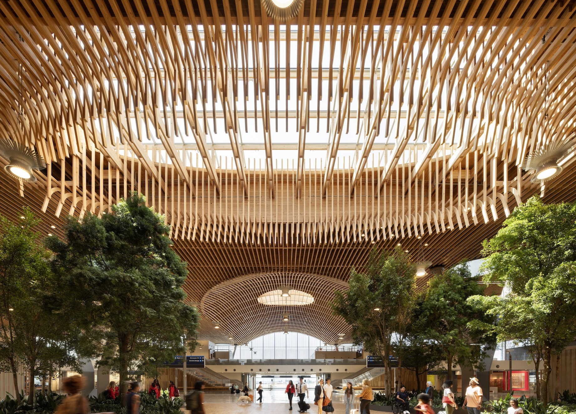 A mass timber roof soars over the main terminal expansion at Portland International Airport in Oregon.