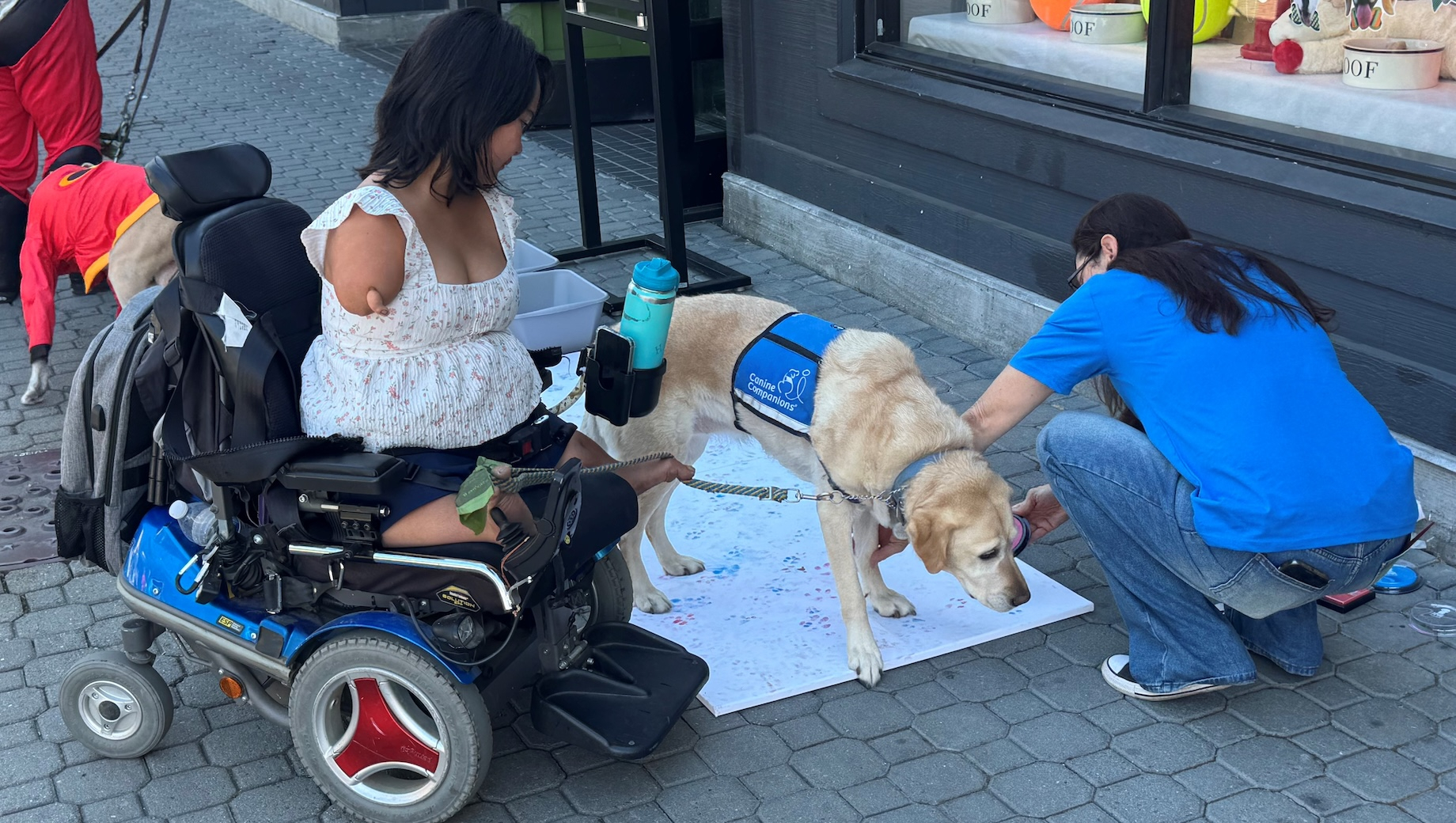 DogFest’s culminating event offered visitors the chance to see the dogs in action and celebrate the community’s support.
