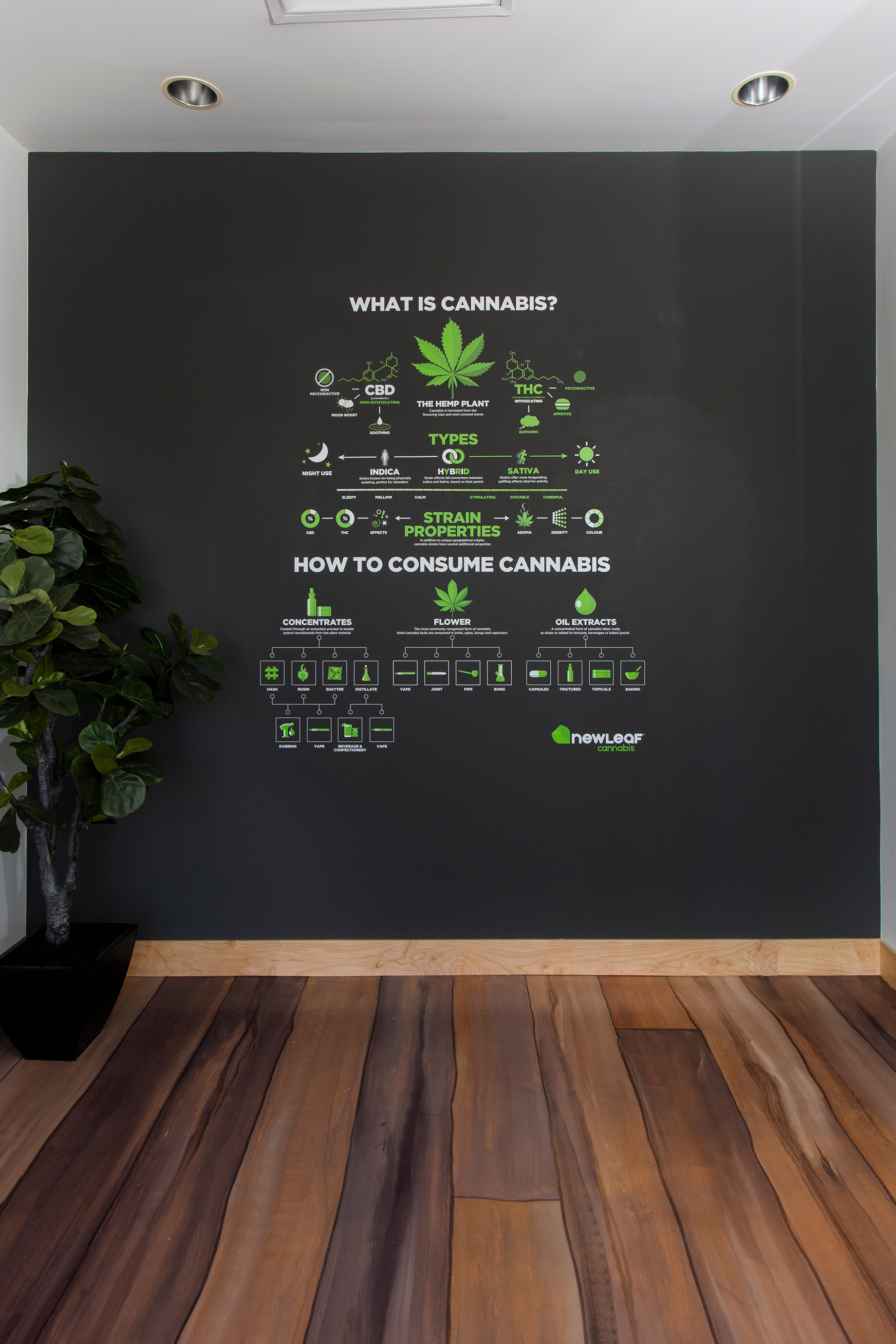 The typical NewLeaf format measures about 1,500 square feet